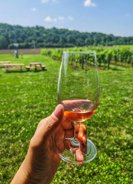 Wineries Tour